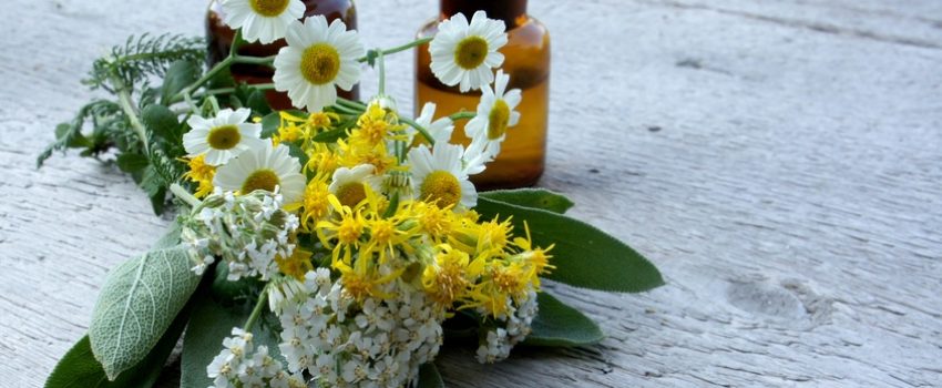 Polyneuropathie Naturheilmittel HiToP® PNP