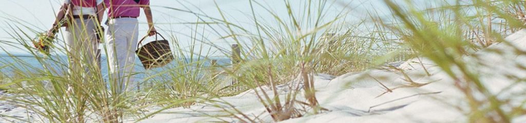 header_behandlung-e1533216476378-nu15dnphaunr6ezwjbu3iltje02a2moatjf6es28jc