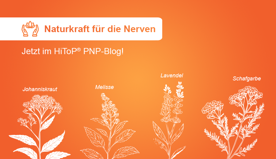gbo_Blogbeitrag_Naturkraft