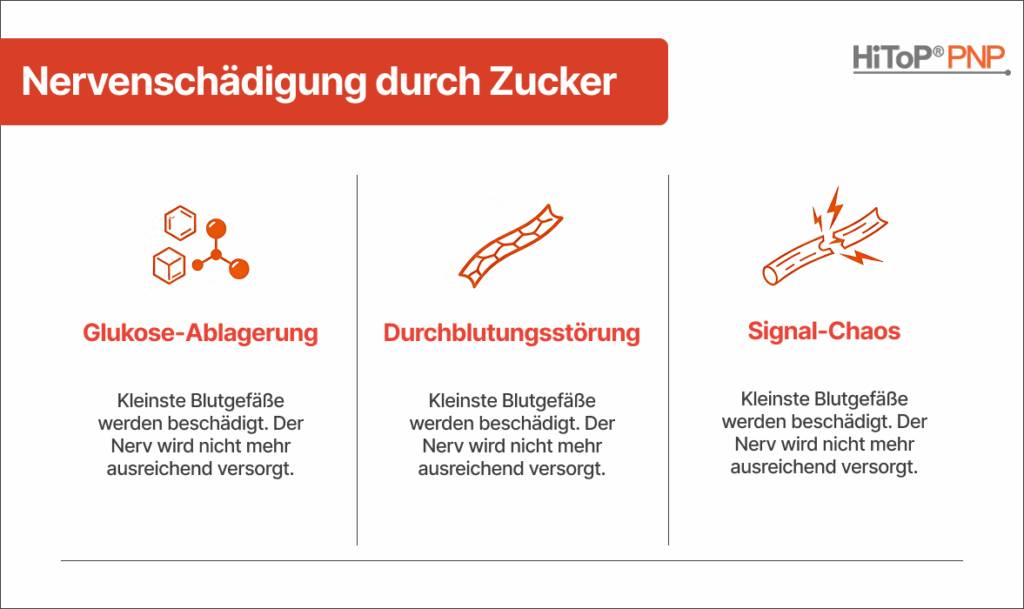 Infografik Nervenschäden
