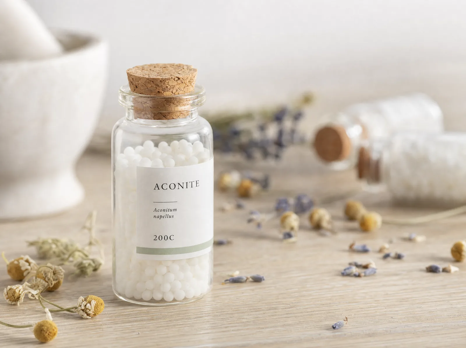 Aconitum aus dem Eisenhut: homöopathische Globuli in heller Atmosphäre
