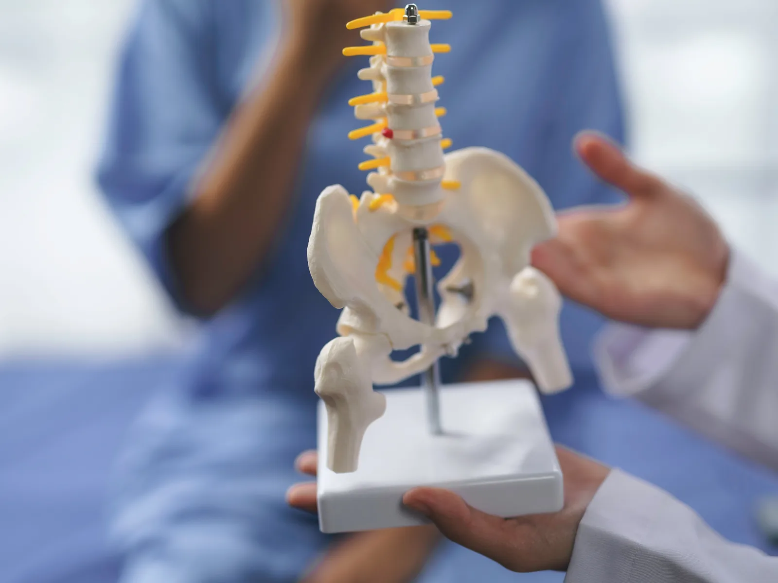 Schematische Darstellung der Nervenstrukturen, in denen sich erbliche Polyneuropathien zeigen können