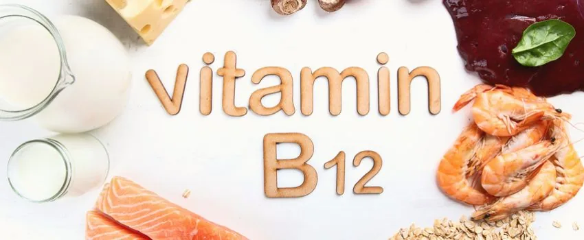 Vitamin-B12-reiche Lebensmittel wie Lachs, Eier, Milch und Käse auf hellem Hintergrund
